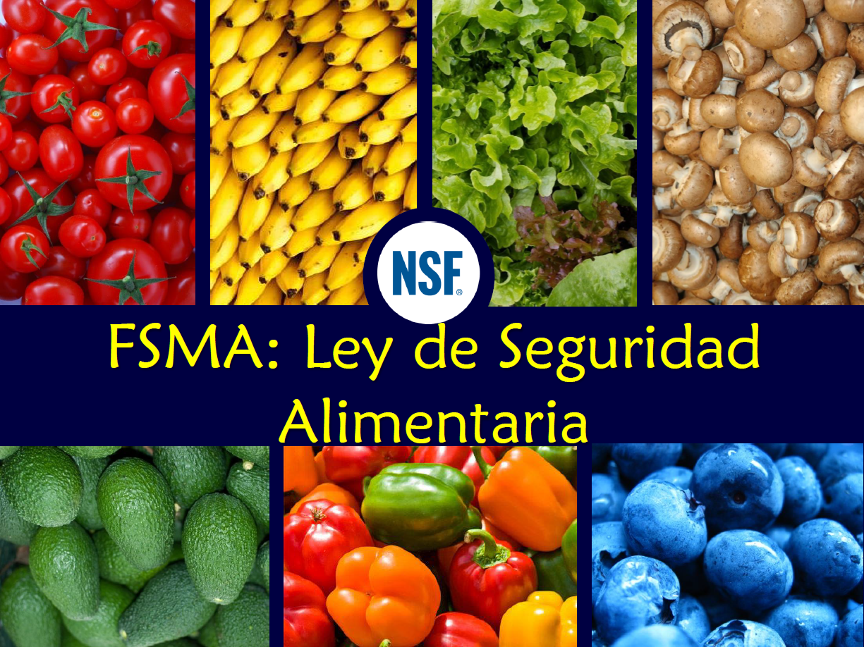 B.Presentación FSMA-NSF International