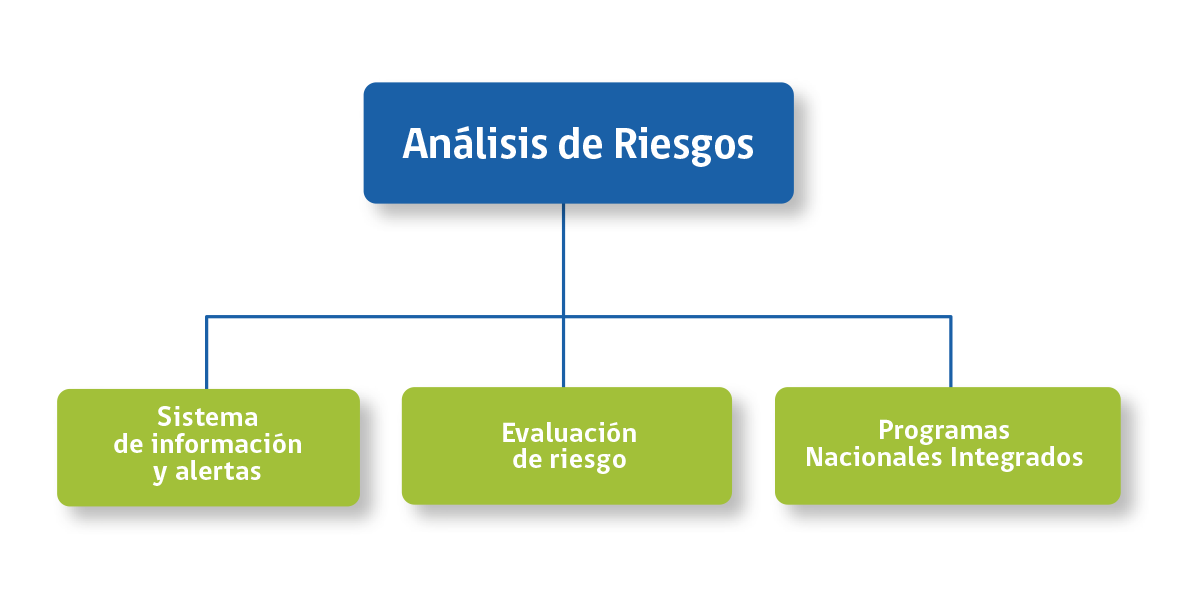 Organigrama