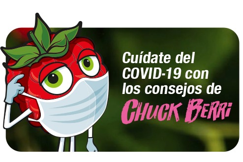 Banner Chuck Berri