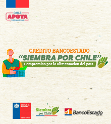 Banner Siembra por Chile
