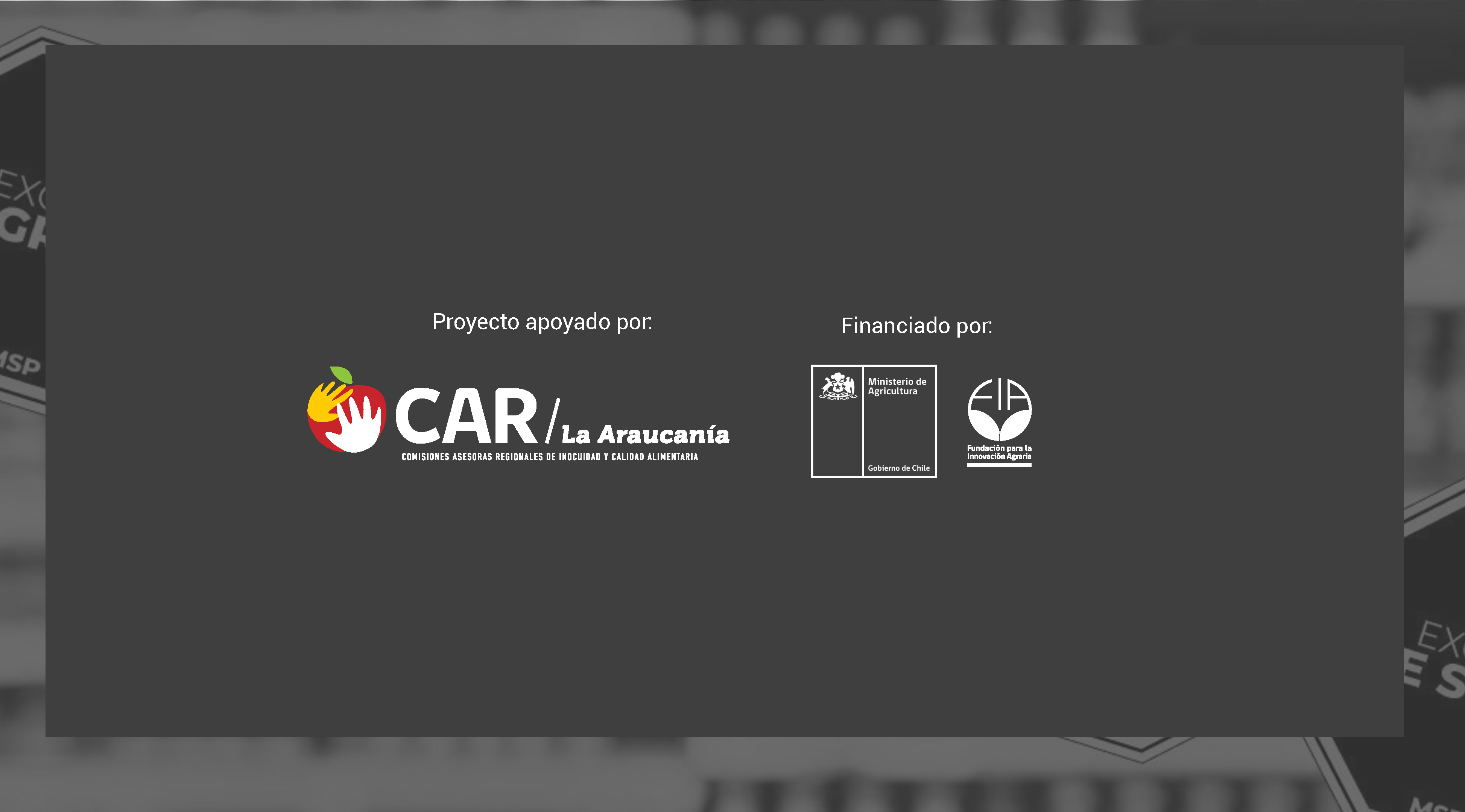 2_CATÁLOGO_LEY_DE_ETIQUETADO__Página_26