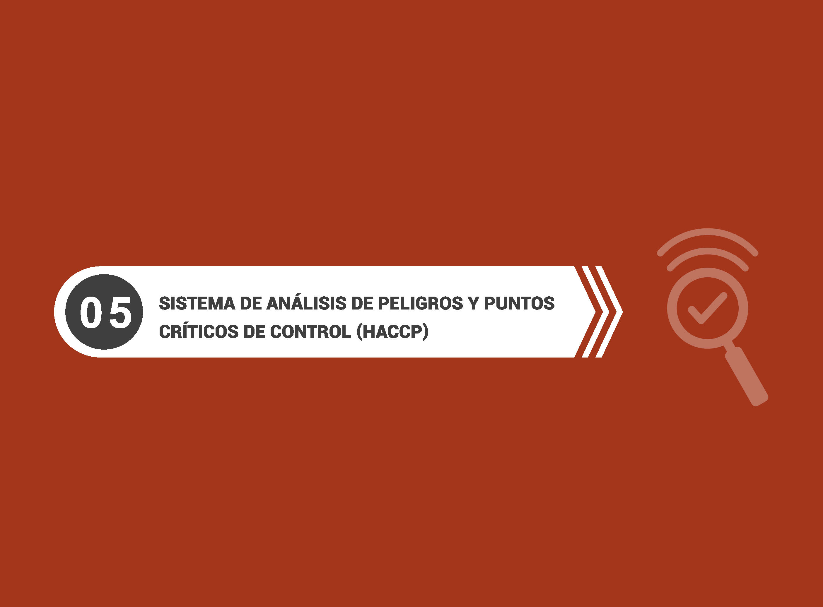 1_INOCUIDAD_ALIMENTARIA__Página_25