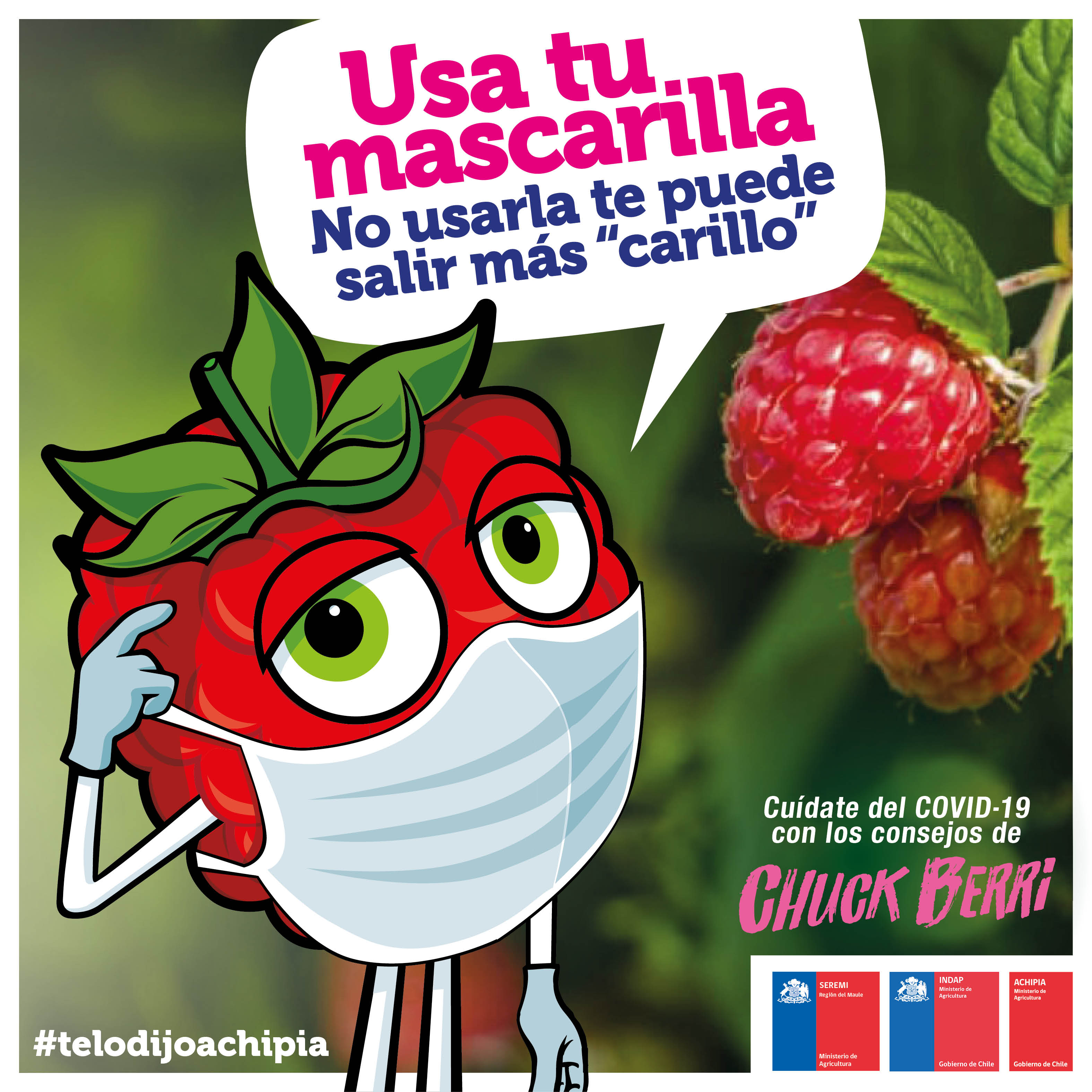 Consejos CHUCK BERRI 12__1