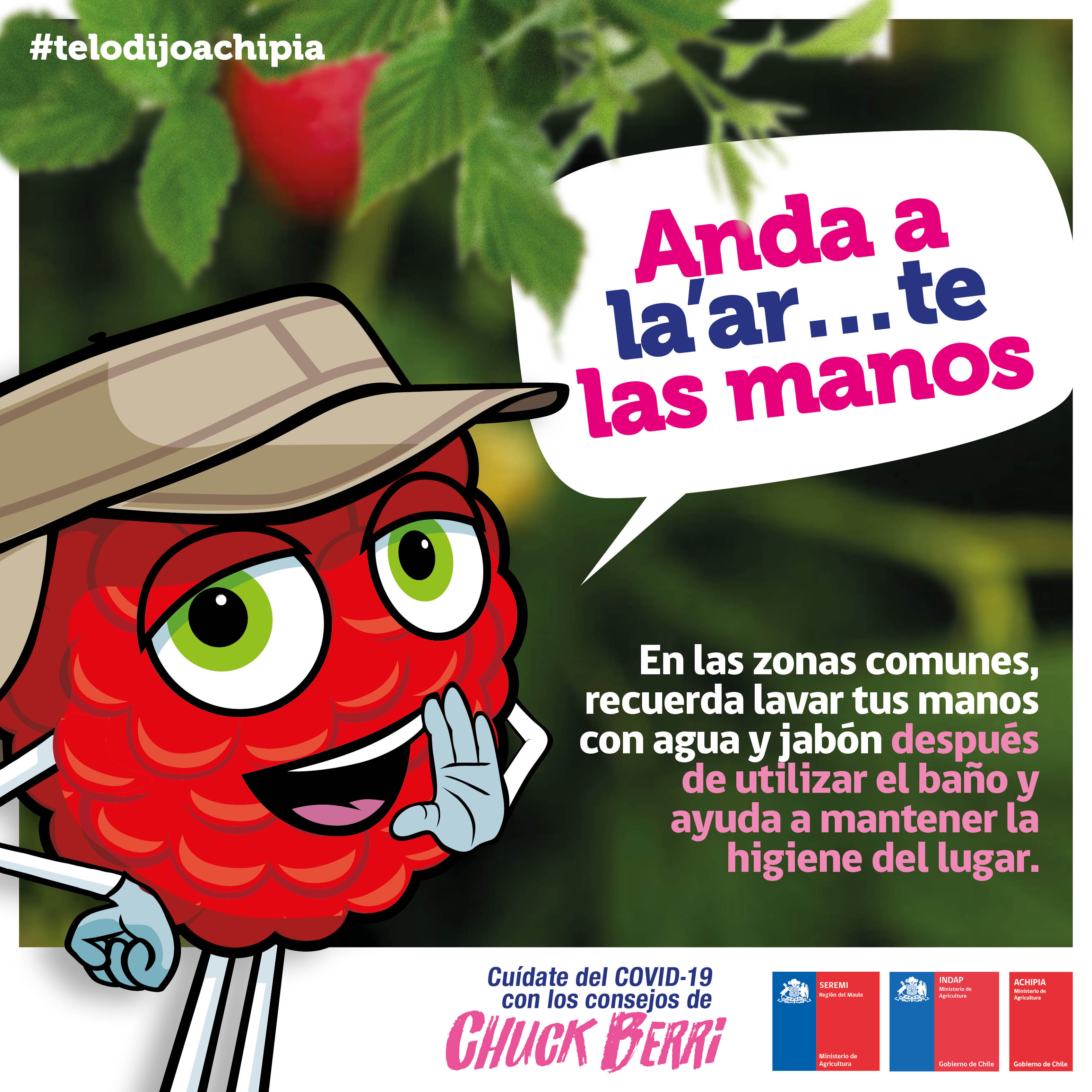 Consejos CHUCK BERRI 12__7